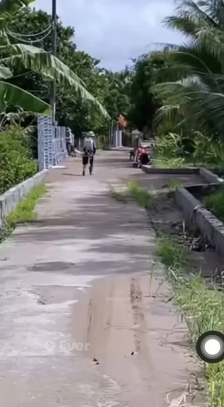 Bán đất 924m có 84 thổ cưGiá: 800 triệuLộ ô tô cách đ.Bốn Tổng-Một Ngàn 3,5km