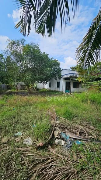 Sang NHÀ ĐẤT chính chủGi.á: 2ty4 thương lượngLiên hệ: 0916891*** (zalo)-------- 0