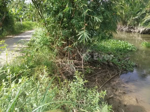 --Chu gửi bán 300mv rạch nhà tho,Đong Phước,Cần Thơ