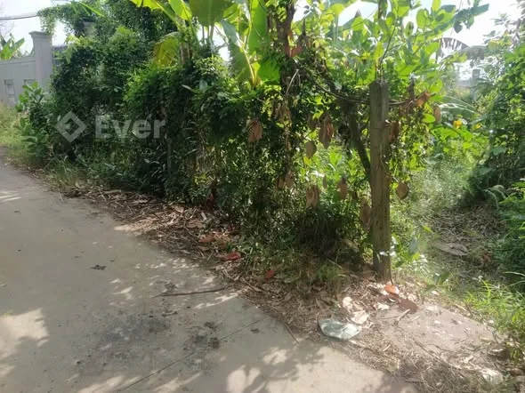 --Chu gửi bán 300mv rạch nhà tho,Đong Phước,Cần Thơ