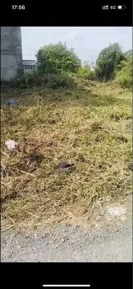 Ảnh bất động sản