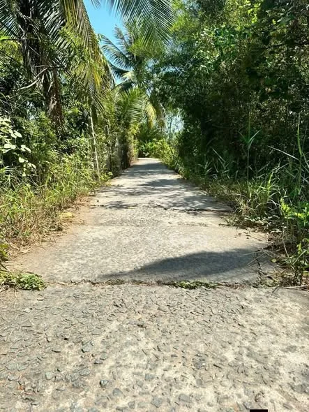 chủ gửi bán đất nền Giá bán : 269 triệu Vị trí đất: Xã Tân Quới - Vĩnh Long