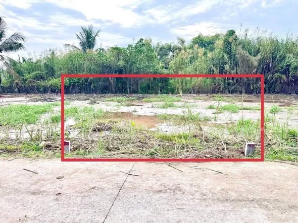 Bán 2 nền thổ cư đường Tạ Thị Phi - Gần bệnh viện nhi đồng Cần Thơ, trường FPT, đại học nam Cần Thơ