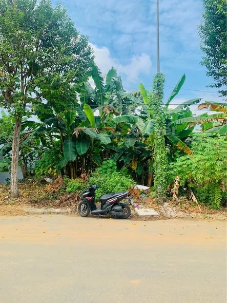 Ảnh bất động sản