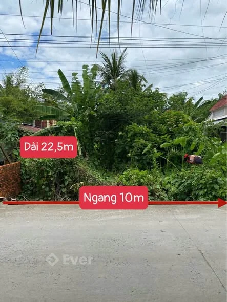 Ảnh bất động sản