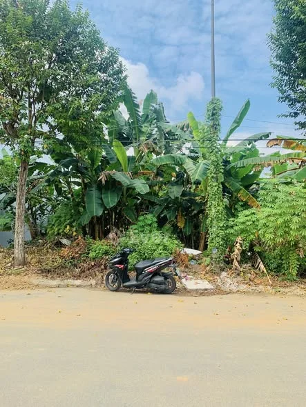 Nền đẹp Đường C1 KDC Thiên Lộc đối diện Trường Việt Mỹ - Hướng Đông Nam