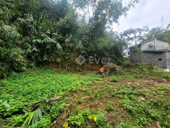 SIÊU PHẨM DƯỚI 2 TỶ - 235M2 NGANG 12,88M CÓ 120M THỔ CƯ - ĐƯỜNG Ô TÔ TRÁNH, ĐẤT VUÔNG ĐẸP - THOÁNG M