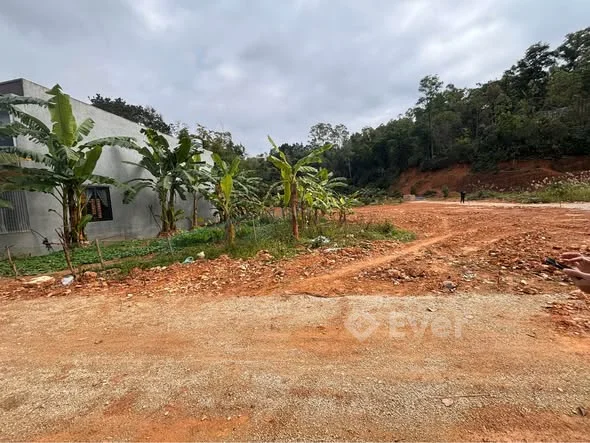 BÁN ĐẤT NGÕ 259 TRẦN QUANG KHẢI Diện tích 71m diện tích thực tế 80m