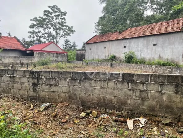 BÁN ĐẤT VƯỜN CÓ THỂ CHUYỂN THỔ CƯ – MẶT TIỀN RỘNG, GIÁ TỐT