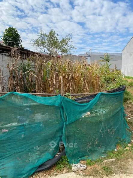 CẦN BÁN ĐẤT – THÔN HOÀNG TÂM, TAM THANH, LẠNG SƠN