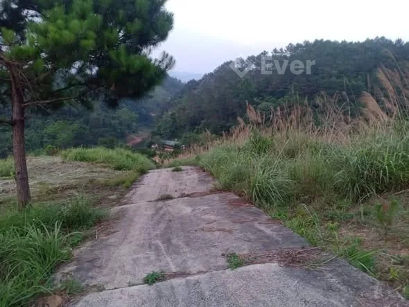 Cần tiền hạ giá cực rẻ Bán đất đồi, đất tâm linh vị trí đẹp Đập Nà Chuông, thôn Trung Cấp, xã Mai Ph