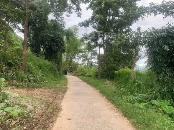 Bán đất riện tích rộng làm hôm tây Biệt thự nhà vườn …. Viu ngắm toàn tỉnh lai châu vii trí nùng n