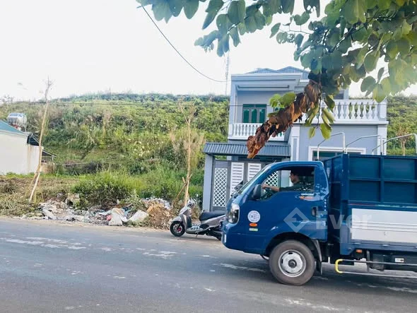 Bán đất cấp 7x15 đường hoàng văn thụ.hướng Đông bắc đối diện vườn hoa thoáng đãng dân cư đông đúc.