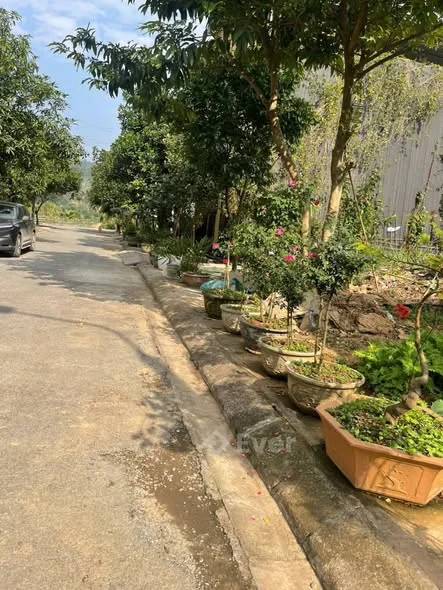 Cần tiền Bán nhanh lô đất vuông đét Xuân Tăng - p Cam Đường