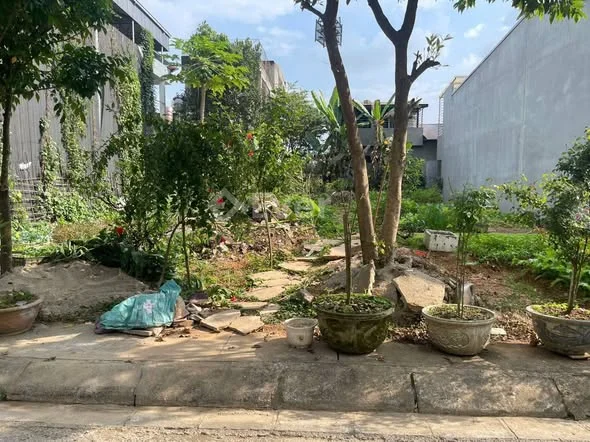 Ảnh bất động sản