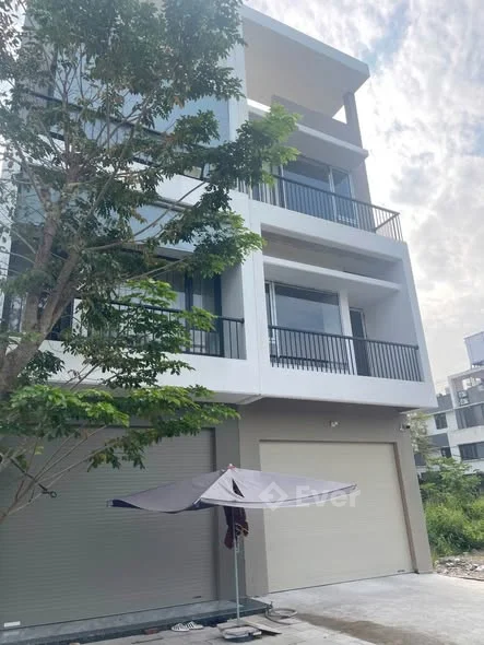 CẮT LỖ ĐẬM SÂU LÔ ĐẤT ĐƯỜNG N4 -BẮC CƯỜNG ,