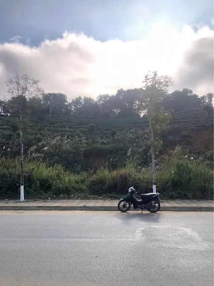 Lô đất mặt đường Thanh Niên Đối diện trường mầm non Hoa Hồng, tổ 4 Tân Phong Lai Châu