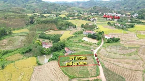 Ảnh bất động sản