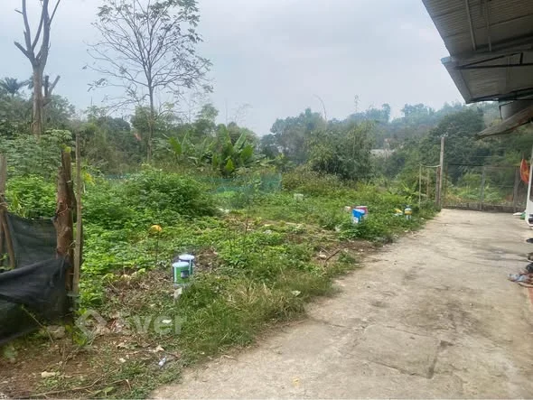 Bán đất Trần Quang Khải. Duy nhất 1 lô #540trDiện tích 71m2, gần trung tâm, chợ