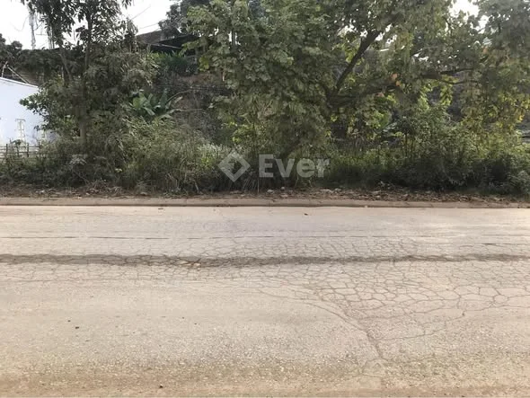 Gia Đình Chuyển Vào Sài Gòn Cần Bán Gấp Mảnh Đất, Khu Đô Thị Mới Noong Bua