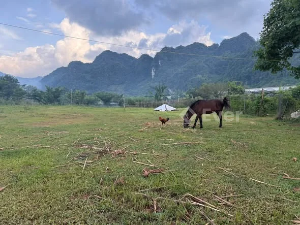 - Phiêng luông mộc châu từ khi có dự án đô thị cửa ngõ mộc châu hót quá ạ