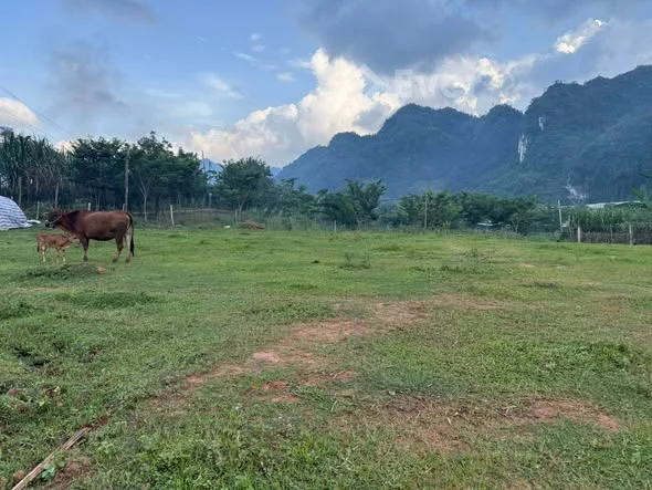 Ảnh bất động sản