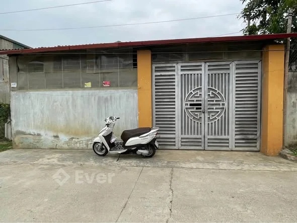 Bán nhà đất: 9x20m đã có sẵn nhà cấp 4 . Sân trước để ô tô thoải mái, 1 phòng khách, 2 phòng ngủ