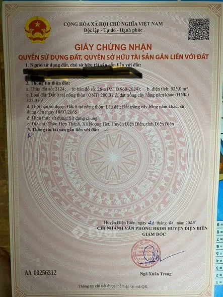 Cần bán 01 nhà cấp 4 và 525 m2 đất tại thôn Hợp Thành xã Noong Hẹt, huyện Điện Biên