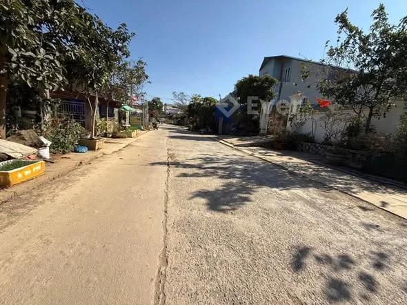 Ở Mộc Châu tầm này nhắc tới đất Bó Bun thì phải nói siêu hót nhất rồi.