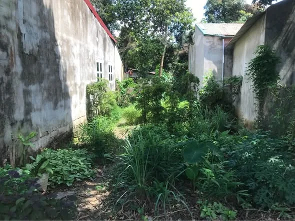 Ảnh bất động sản