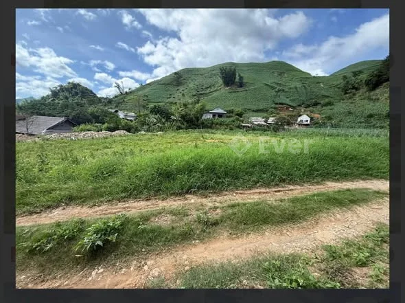 Ảnh đại diện nguyễn hà thu