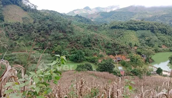 Ảnh bất động sản