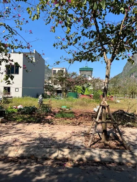 Ảnh bất động sản