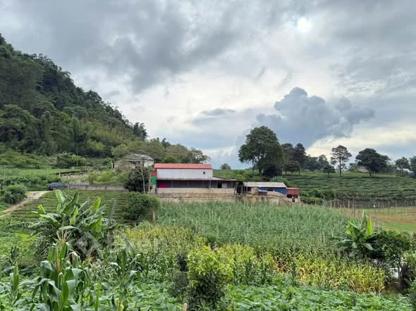 Ảnh bất động sản