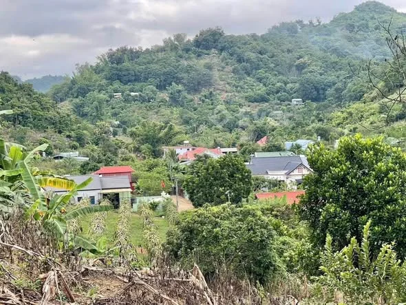 Bán Nhanh Đất Vườn Trang Trại Thông Sang Bản Hẹo , Tô Hiệu Giá Rẻ