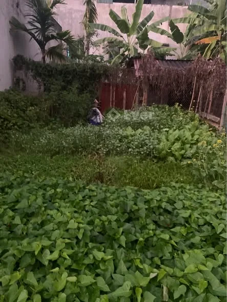 BÁN GẤP TRƯỚC TẾT LÔ ĐẤT – TỔ 14, QUYẾT THẮNG