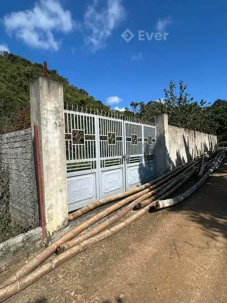 Cần bán gấp mảnh đất 900m2 có 300m2 đất thổ cư, tại Co Pục, Chiềng Ngần.