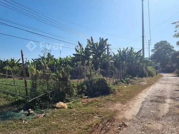 Em Bán 1000M Đất Trong Khu Bản Hẹo, Chiềng Sinh, Gần Ngay Cổng Trào Bản Hẹo