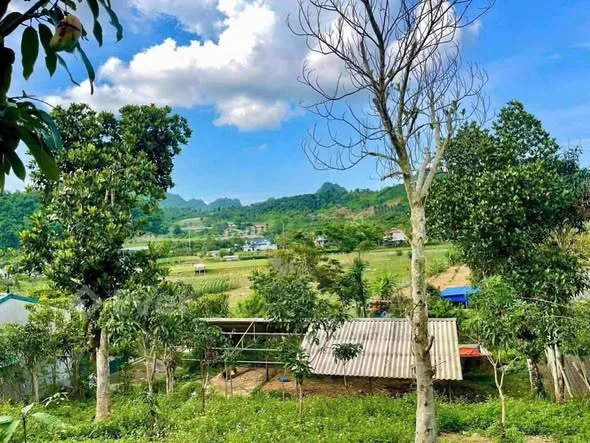 Ảnh bất động sản