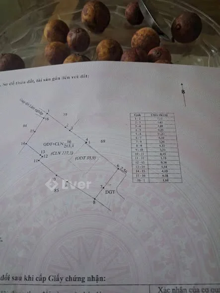 Ảnh bất động sản