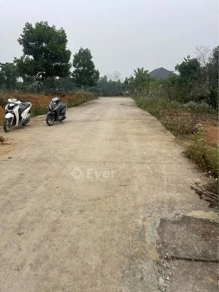 Bán lô đất 10x20 ( 40tc) TdP Yên Lộc. An Tường. ( Hoàng Khai cũ)