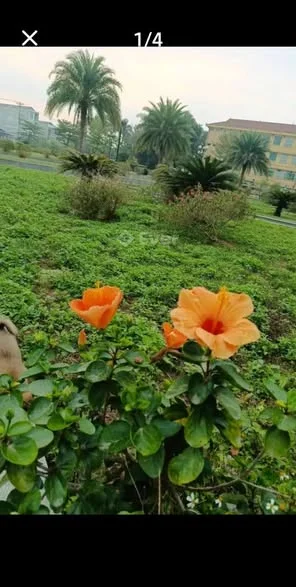 AN KHANG 15X30, TỔNG DIỆN TÍCH 462m ,1t6xx Thổ cư 70m , ngõ thông