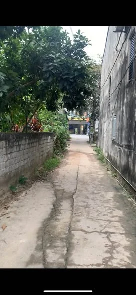 -Cần bán ô đất ở xóm 4 xã trung môn cách mặt đường quốc lộ 2 10m,ngõ oto đi vào đỗ cửa