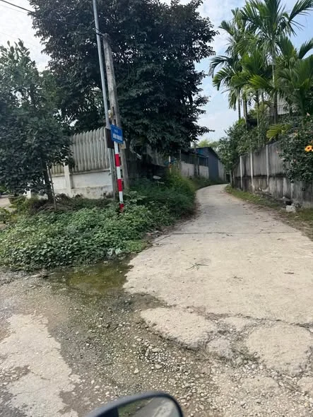 Cần tiền nên chính chủ em bán gấp mảnh - Diện tích : 10*30 có thể tách làm 2 sổ- thổ cư : 80