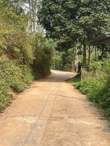 Cần tiền nên chính chủ em bán gấp mảnh - Diện tích : 10*30 có thể tách làm 2 sổ- thổ cư : 80