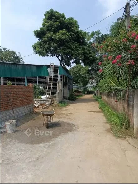 Đất trong ngõ TDP 17 - An Tường gần BV Lao Phổi - Diện tích: 120m2 Thổ Cư: 36m2