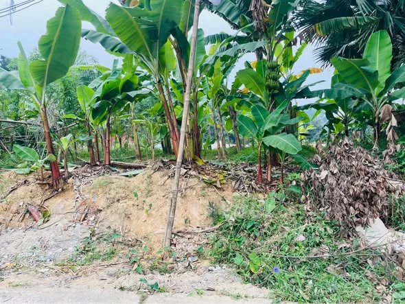 BÁN LÔ ĐẤT GIÁ CHỈ 2XXX TRIỆU – HIẾM CÓ KHÓ TÌM