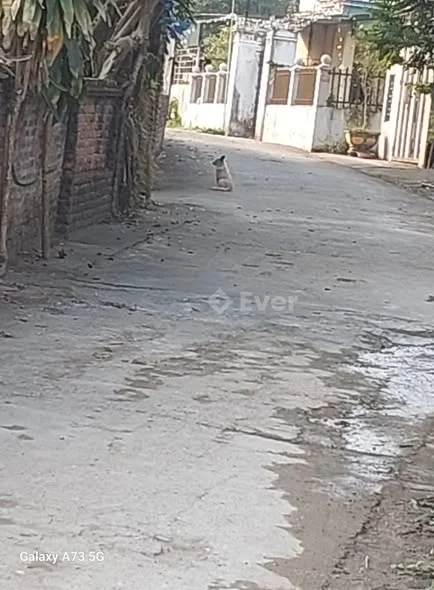 Chính chủ anh trai nhờ bán ô đất viên châu. trừơng thi phừơng an tường. 27mx24m thô cư 200m