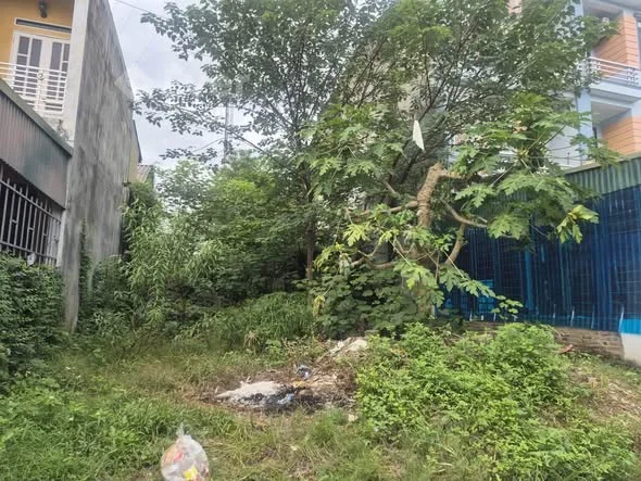 Ảnh bất động sản