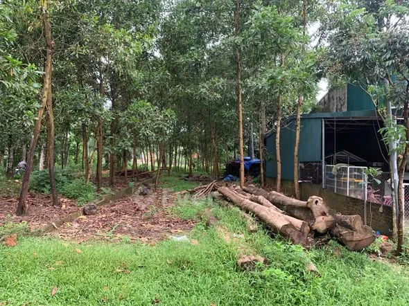 Ảnh bất động sản